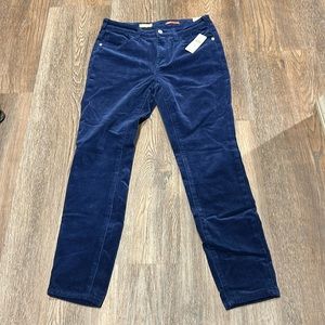 Anthropologie corduroy pants